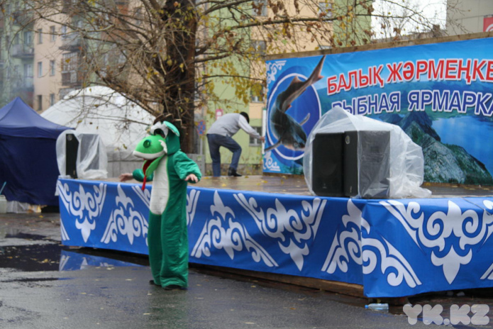 Эх, хвост, чешуя (+фото)